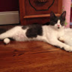 Meet your Posher, Katherine